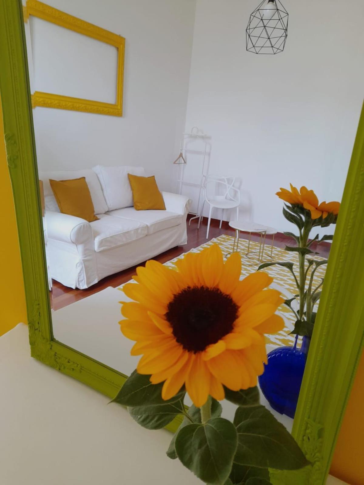 Sole Amare Guest House Bari Dış mekan fotoğraf