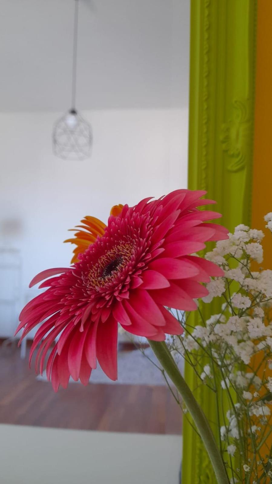 Sole Amare Guest House Bari Dış mekan fotoğraf